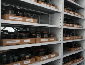 Стеллажи для хранения зоологических фондов